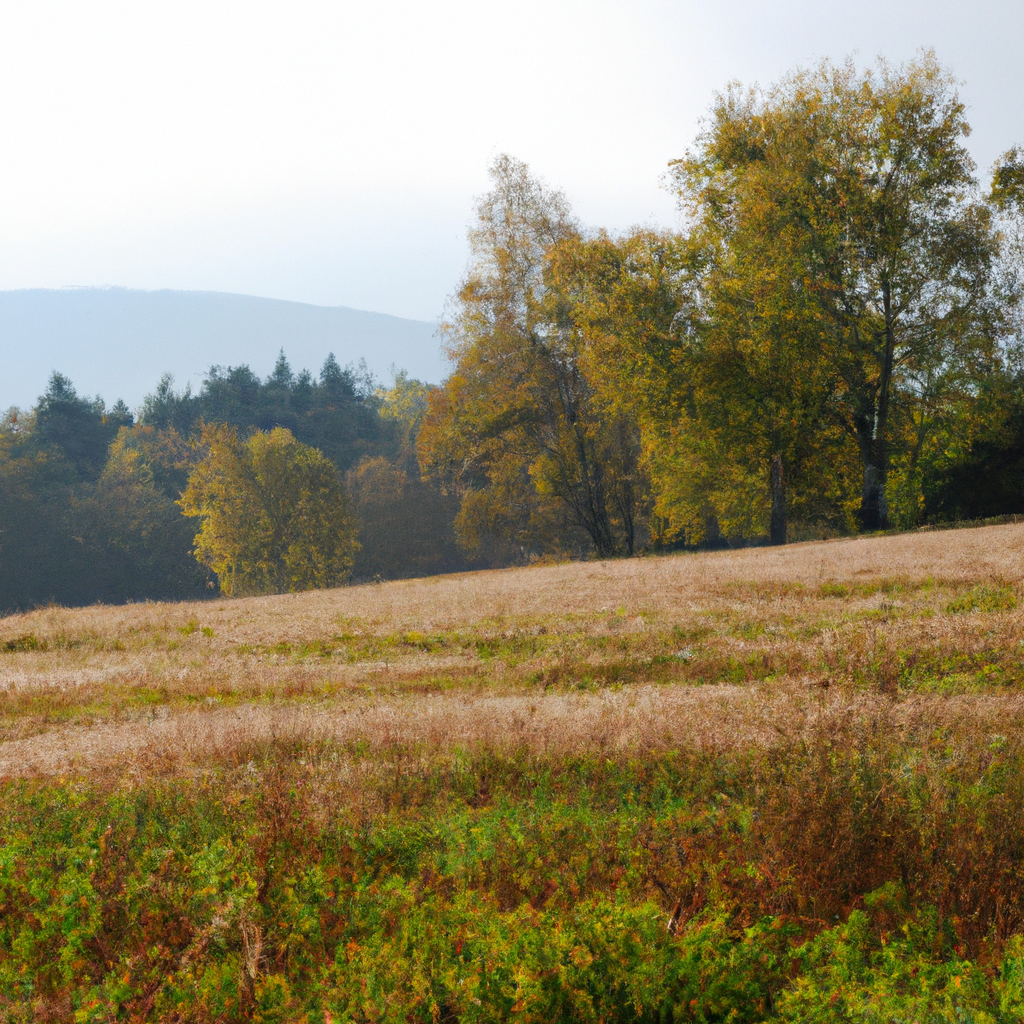 목포오피 최신정보를 확인할 때 참고하는 지역 상권 변화와 정보 탐색 기준 - 목포오피 최신정보를 위한 지역 상권 변화와 정보 탐색의 핵심 가이드